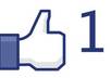 publish your link, blog,website or message to my 13,900 fans