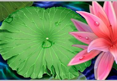 draw and design 3D Lotus and Water Lily using Photoshop CS 5 big1
