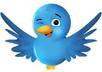 create for you unique Twitter account with 350 followers