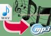 convert, compress or edit any audio file for you