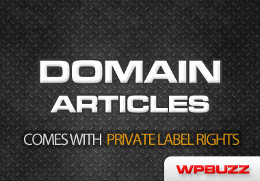 send you 312 Domain articles with private label rights included big1