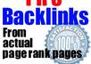 give you a permanent PR3 link high traffic high quality do follow Seo link