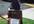 take 5 high quality photos holding your custom message in front of Hawaii Five O star Jack Lord statue