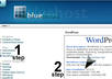 install and customize Wordpress blogs along with all the necessary plugins