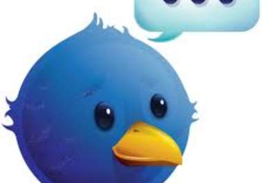 promote/tweet your link or message to my 27,000 followers on Twitter big1