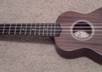 sing your lyrics and play my ukulele