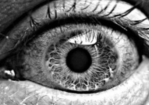 review, blog post, your website with a dofollow link back to your photography website from my nice PR2 photography website big1