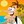 doofenshmirtz