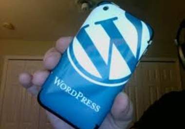 help your wordpress blogs css,html related issues big1