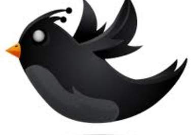 promote/tweet your link or message to my 27,000 followers on Twitter big1