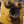 yodabear65