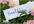 make you 2 creative fan signs