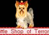 Yorkie2
