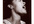 sing lead vocals on a song of your choice