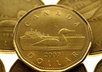 send you or anyone of your choice a Canadian Loonie anywhere in the world