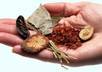 provide you Chinese traditional herbal medicine recipe for any disease treatment