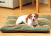 fill you in with all the pet friendly places here in Tn