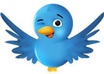 show you a underground method to make 225 dollars in 15 mins with a new twitter account and zero followers and following