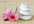 give you a Professional 1 Room Feng Shui Design Consultation