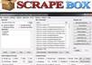 do a scrapebox blast of 1000 links, INSTANT seo backlinks