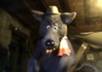 video a get well soon message of your choice dressed up in my wolf costume