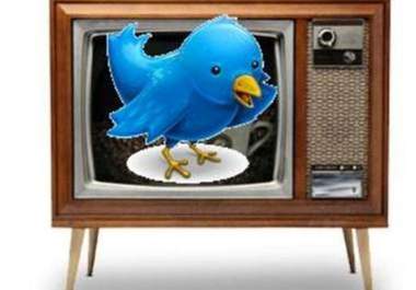 get you more than 1,000 new Twitter followers in 5 days max big1