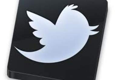 promote/tweet yourwebsite link, business, product, youtube video or any social marketing message to my 24,000+ followers on Twitter big1