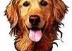 Doggy
