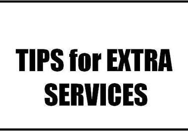 accept tips or EXTRA services big1