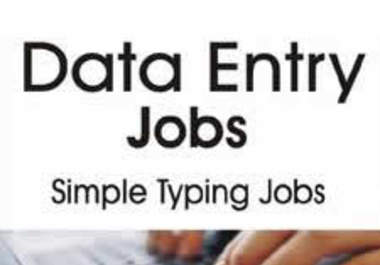 do data entry for you big1