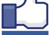 get you 250 usa facebook fans within 1 days, 250 usa likes