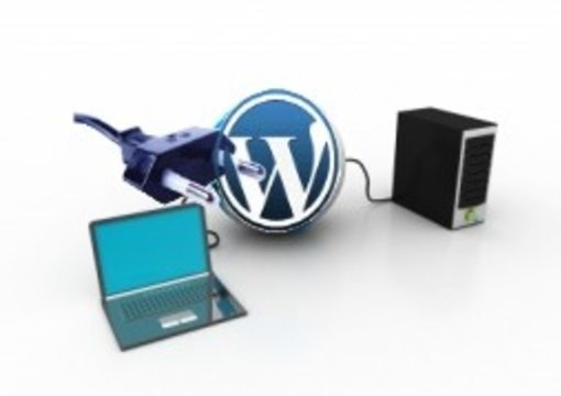 remotely install wordpress with you and help you upload your favorite WP theme so you can start your own wordpress blog or service website big1