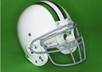 wear your favorite color of your football team