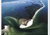 send you a postcard from Clearwater Beach or Caladesi Island