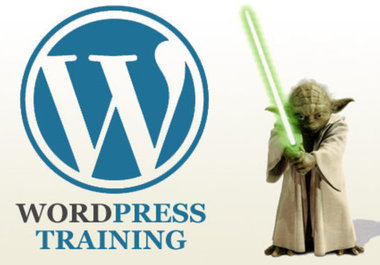 teach you how to use WordPress big1