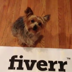 puppyfun