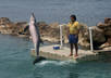 give you tips on cool fun places to visit in Jamaica and will provide you with pictures