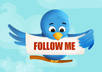 Tweetie things