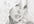 draw your any image with my pencil
