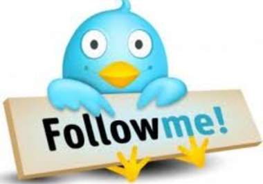 personally search and add 500 twitter followers based on any country or state big1