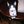 ntopcat22