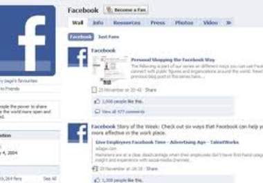 help you create a Facebook Fan page big1