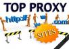 guide you in creating a AWARDWINNING proxy websites then flip them for a profit
