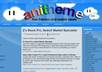 make you a fantastic WordPress THEME