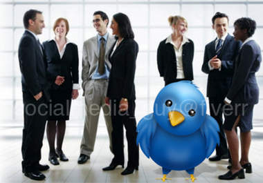 add more than 101+ Business and Finance TARGETED Niche Twitter Followers to your Twitter account big1