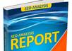 prepare a COMPREHENSIVE seo report that looks at 55 on page factors of your homepage small1