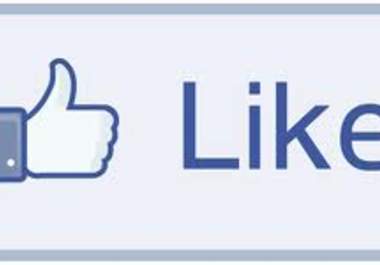 provide multiple Facebook likes for you page big1