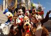 answer any question you have about Walt Disney World
