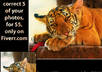 color Correct 5 of your photos