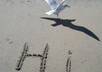 write anything in the sand and photograph it